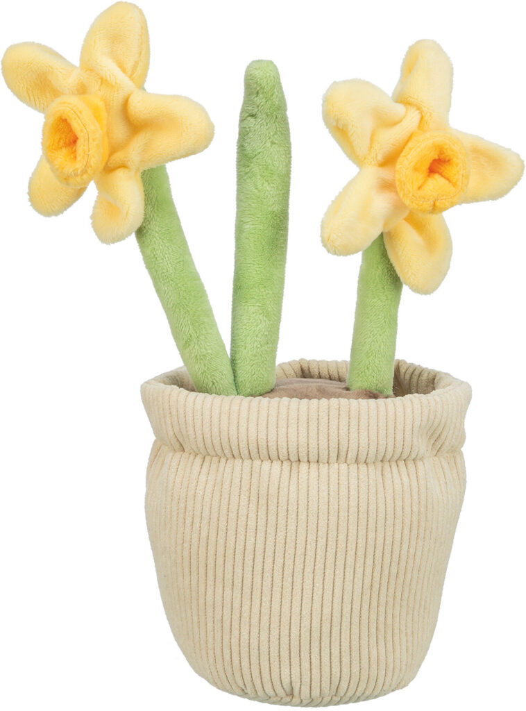 pho pro clip 99352592 1