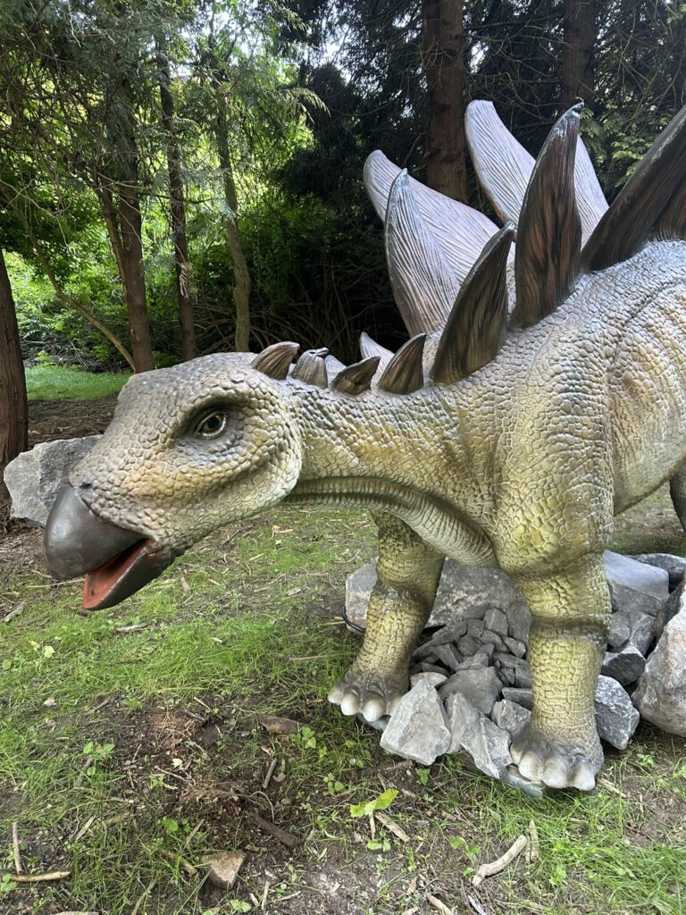 8568
