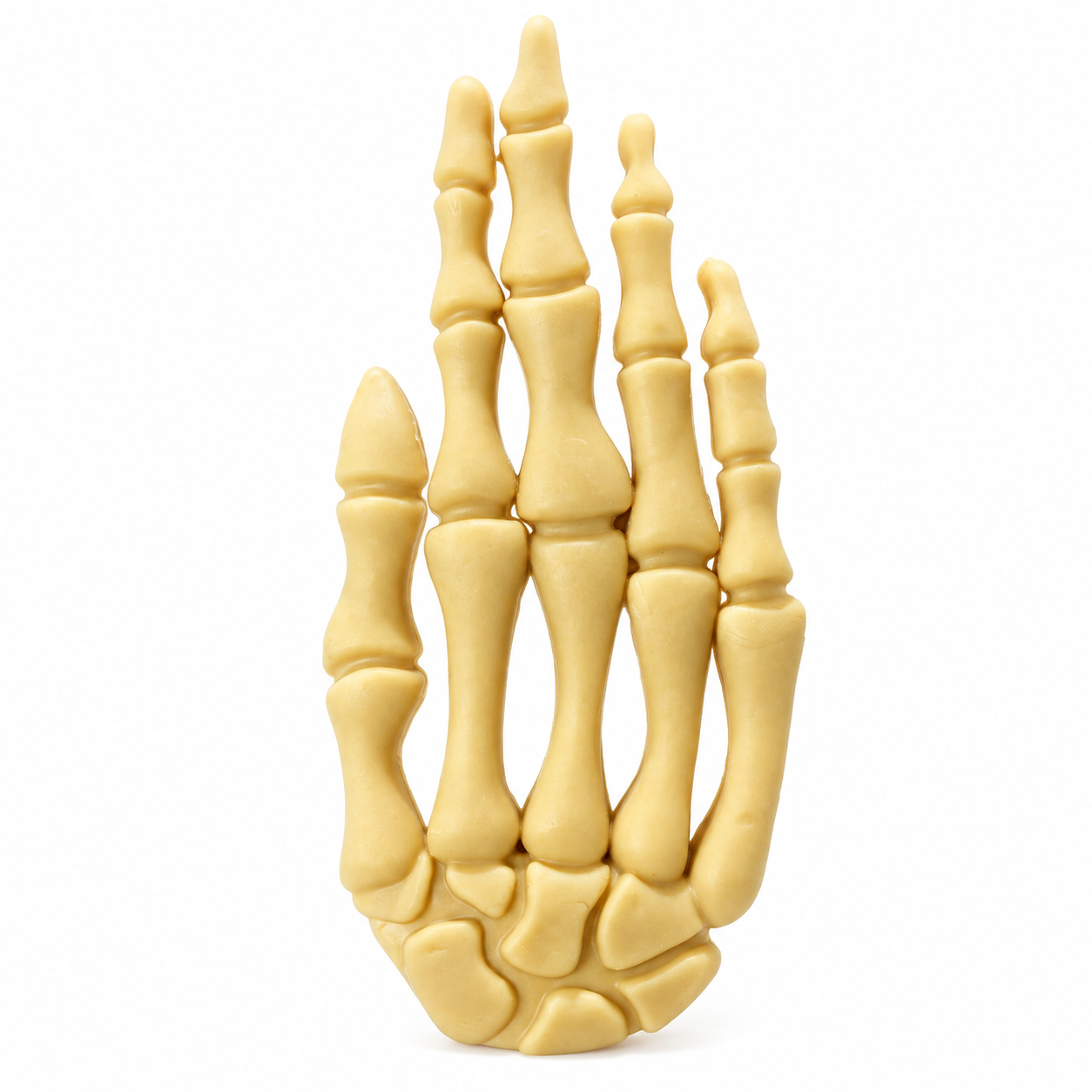 Halloween hand met kip